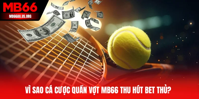 Giới thiệu bộ môn cá cược quần vợt tại MB66