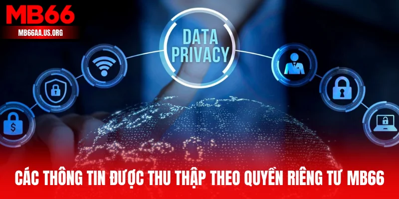 Các thông tin được thu thập theo quyền riêng tư MB66