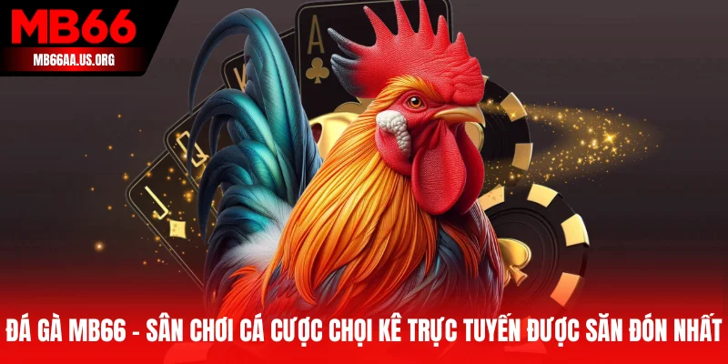 Đá gà MB66 - Sân chơi cá cược chọi kê trực tuyến được săn đón nhất