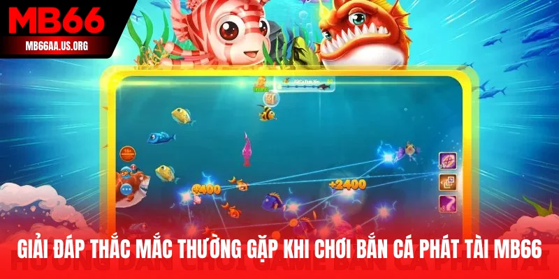 Giải đáp thắc mắc thường gặp khi chơi bắn cá phát tài MB66