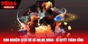 kinh nghiệm cược đá gà online MB66