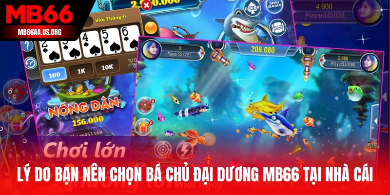 Lý do bạn nên chọn Bá Chủ Đại Dương MB66 tại nhà cái