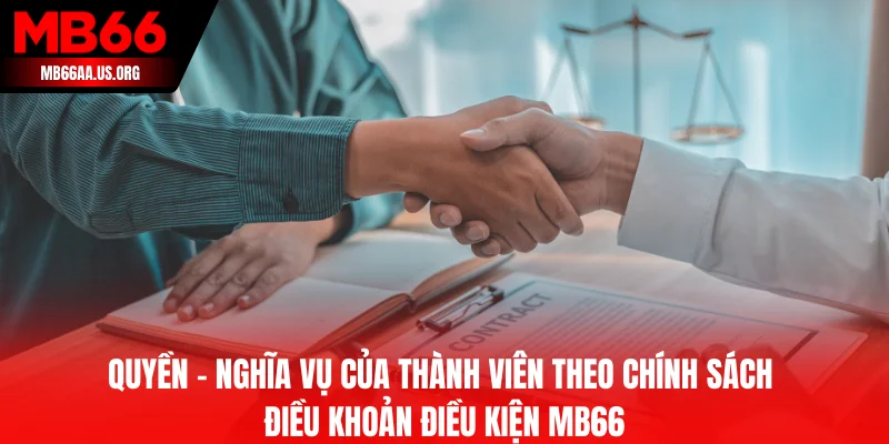 Quyền - nghĩa vụ của thành viên theo điều khoản điều kiện MB66